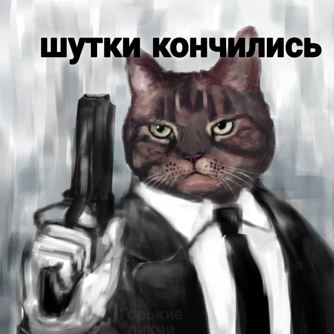 Крутой кот арт