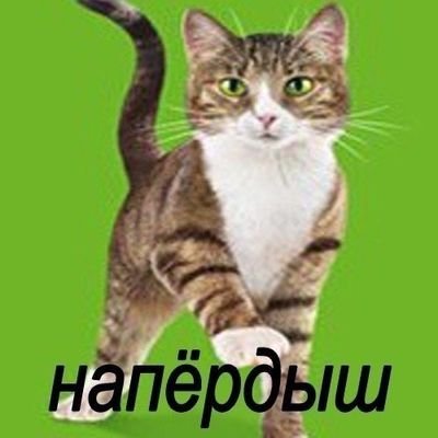 Напёрдыш