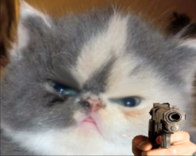 Котёнок с пистолетом