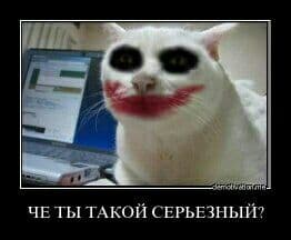 23248544.jpg