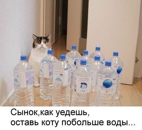 Вода смешные картинки