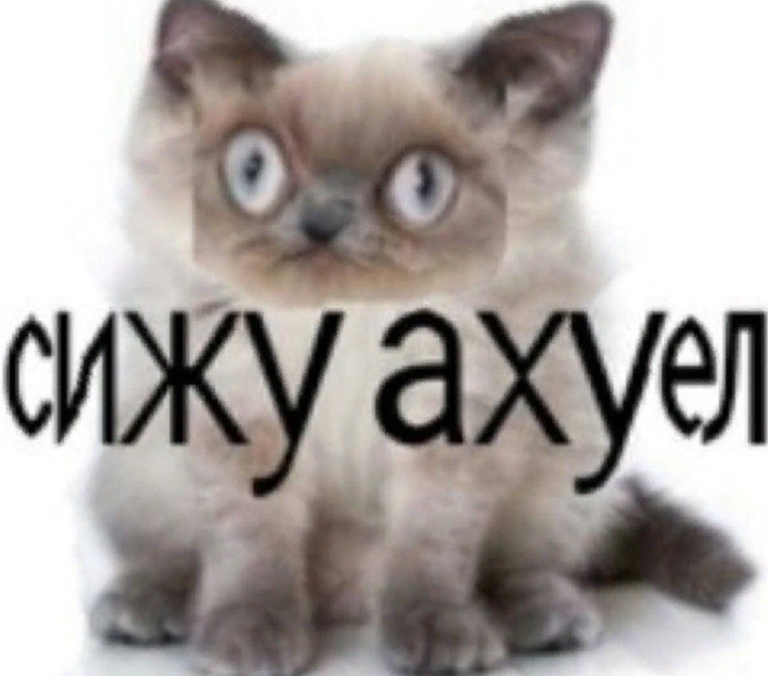 Ахуеть блять