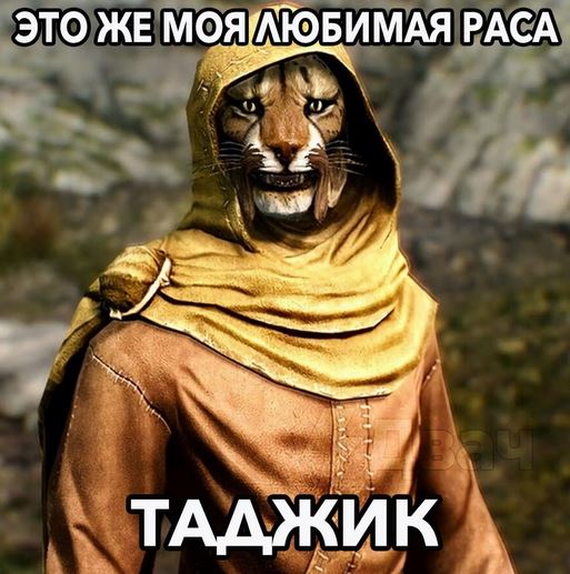 Это же моя любимая раса - Таджик - Мемы