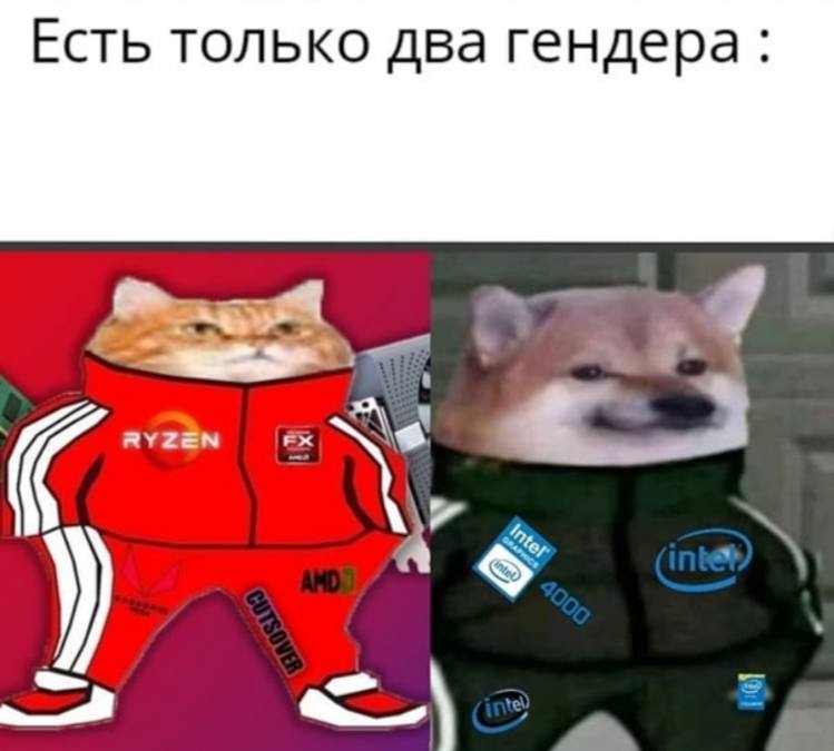 Есть только два гендера - Intel - Ryzen - Мемы