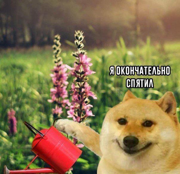 Я окончательно спятил