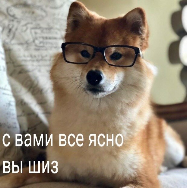 С вами всё ясно - Вы шиз