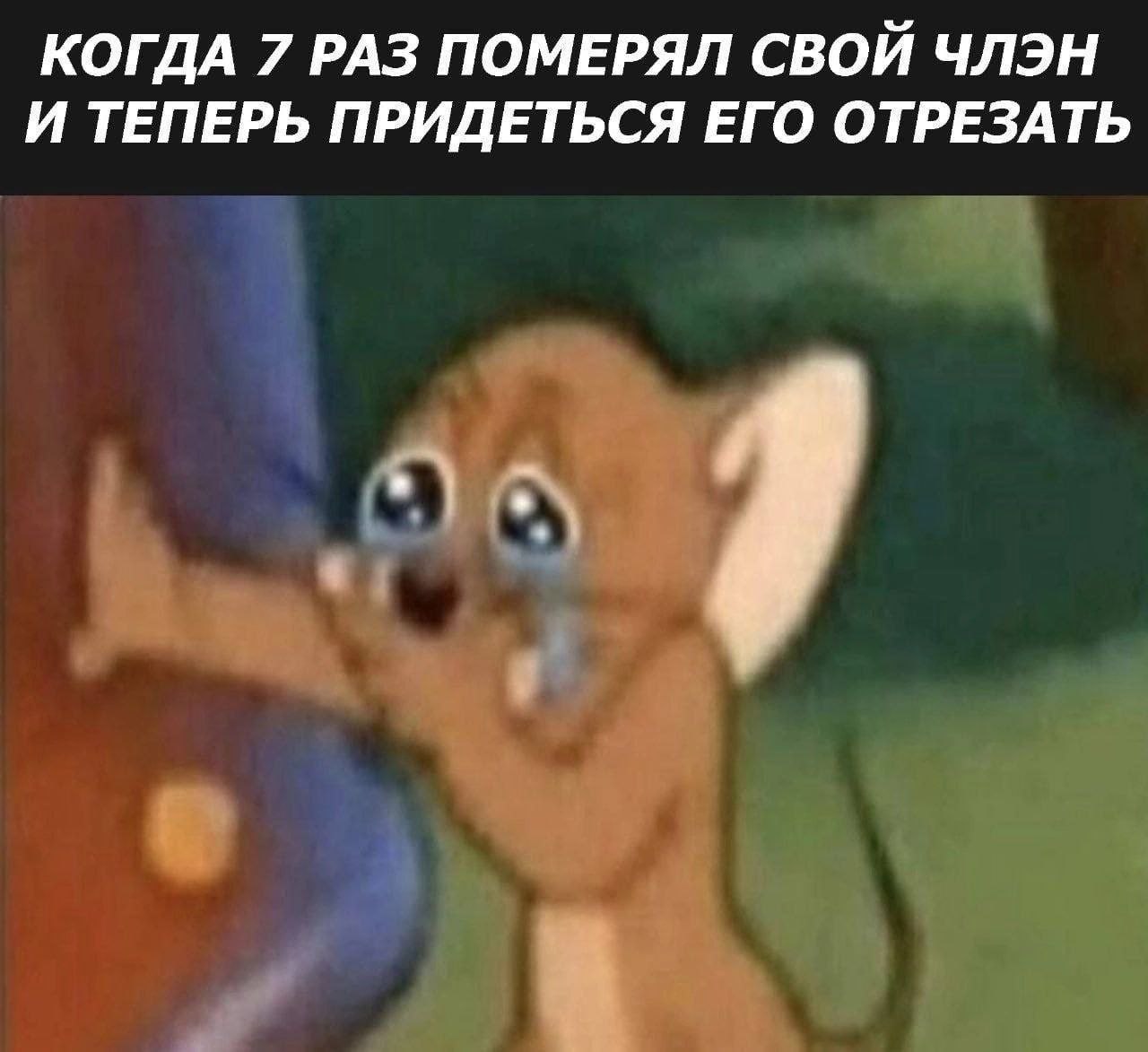 Мем Когда семь раз померял свой член и теперь придётся его отрезать