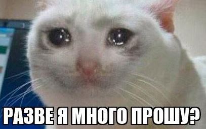 Мем Разве я много прошу?