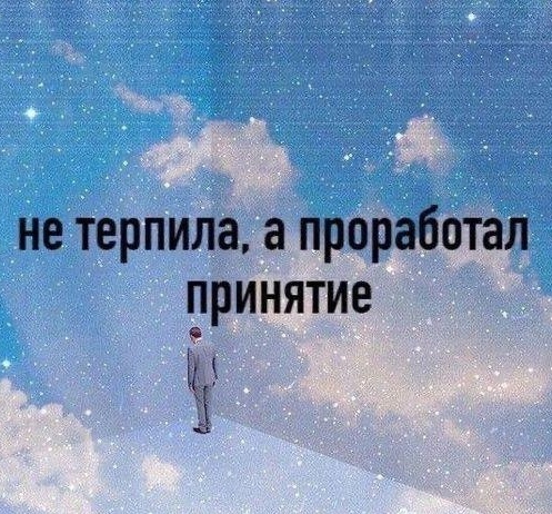 Мем Не терпила, а проработал принятие