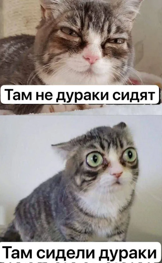 Мем Там не дураки сидят - Там сидели дураки