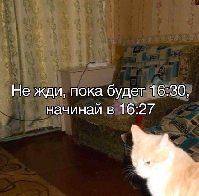 Мем Не жди