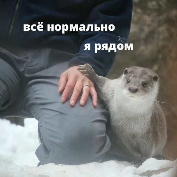 Всё нормально я рядом