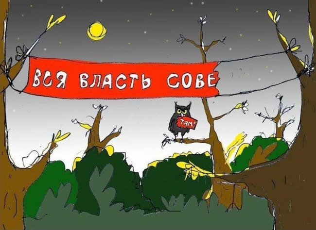 Вся власть сове