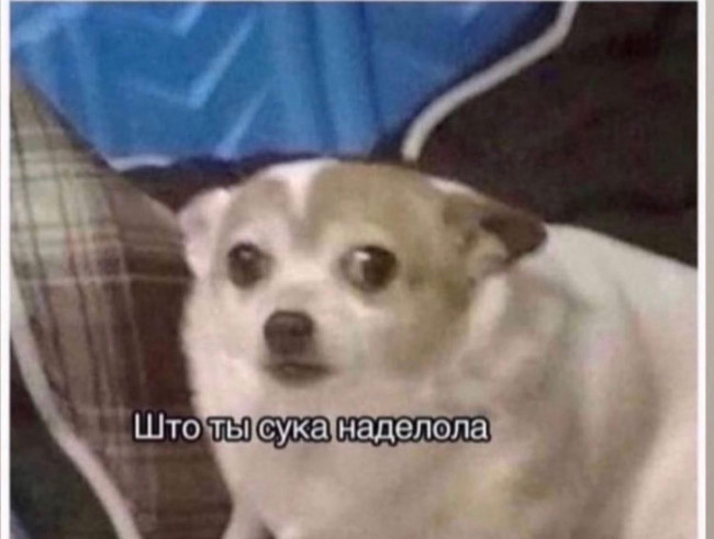 Што ты сука наделола