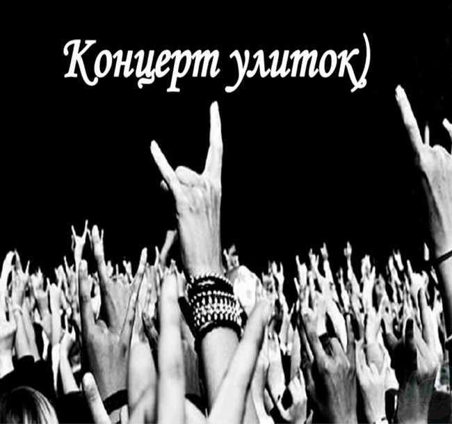 Концерт улиток