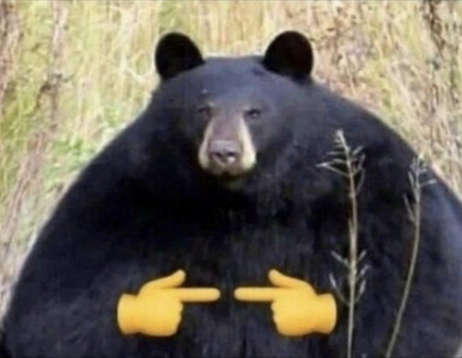 Это мне? - Медведь