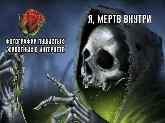 Фотографии пушистых животных - Я мёртв внутри