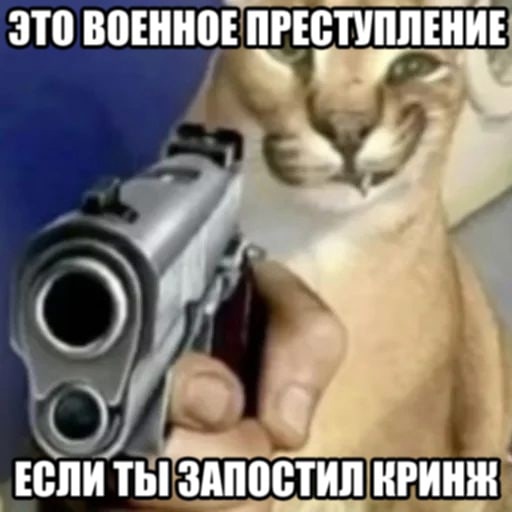 Это военное преступление если ты запостил кринж