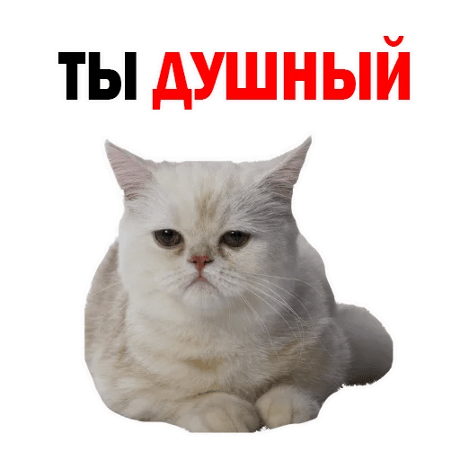 Ты душный
