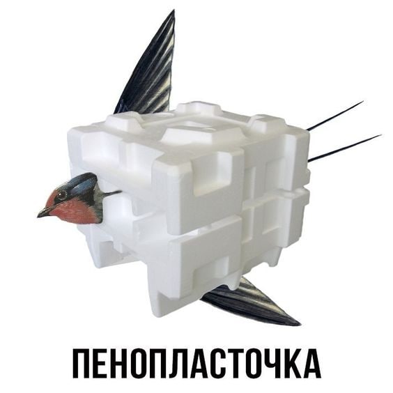Пенопласточка