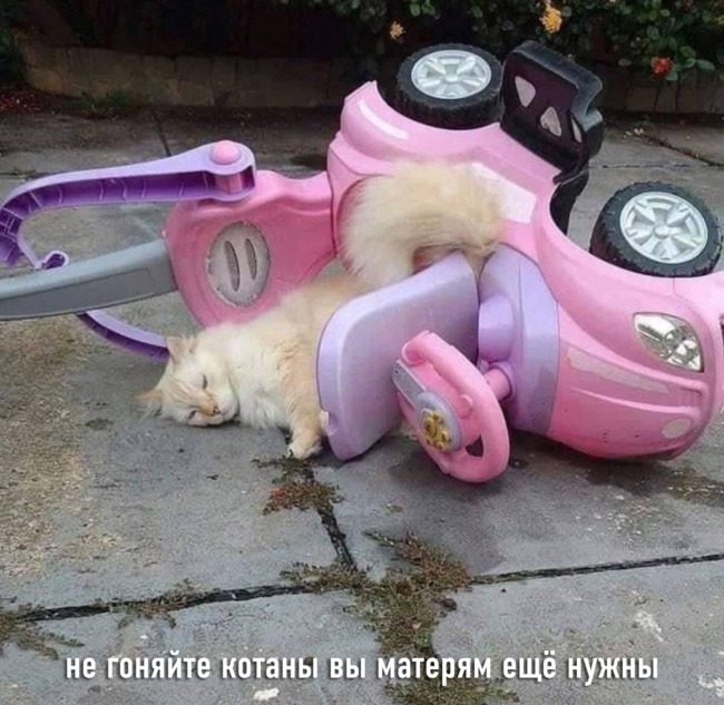 Не гоняйте котаны вы матерям ещё нужны