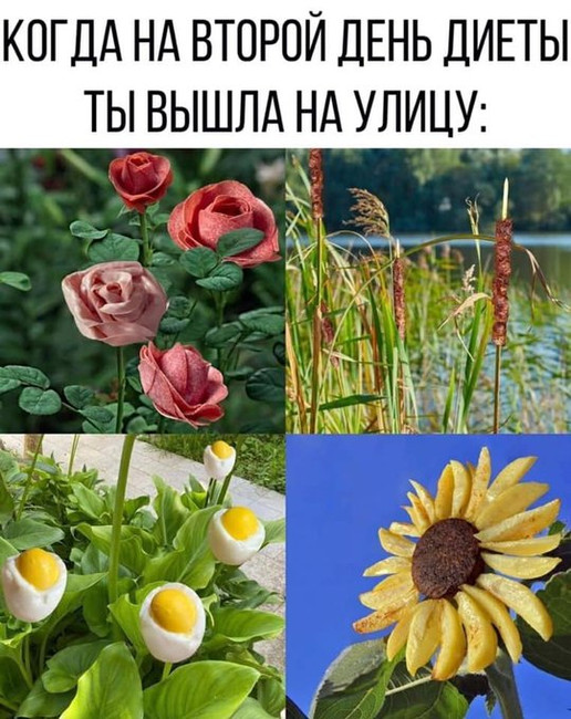 Когда на второй день диеты вышла на улицу