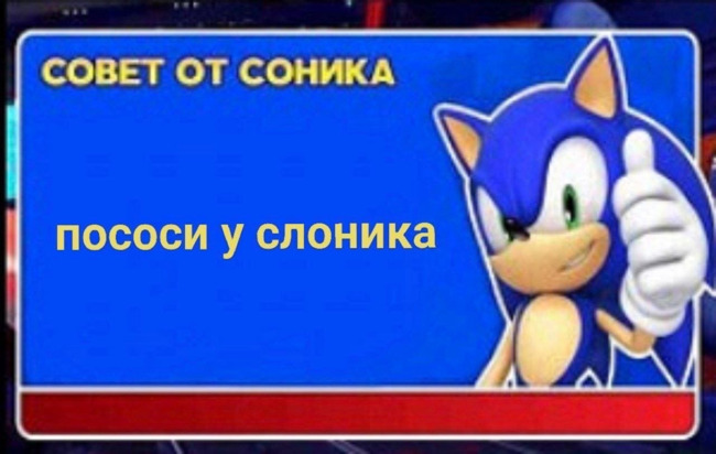 Совет от Соника - Пососи у слоника