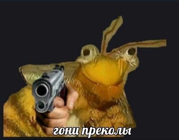 Гони преколы