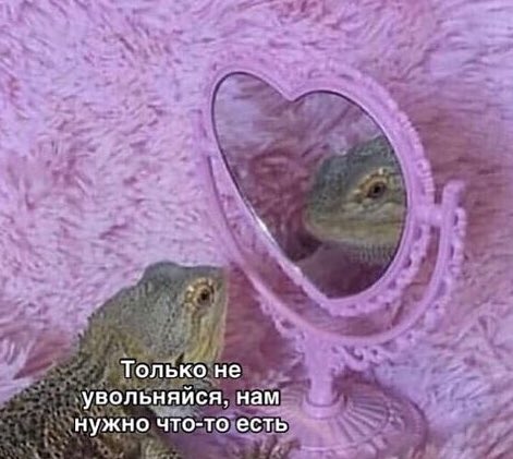 Только не увольняйся, нам нужно что-то есть