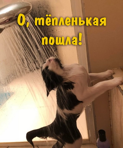 О, тёпленькая пошла