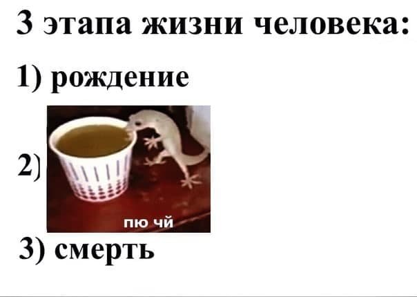 3 этапа жизни человека: Рождение - Пю чй - Смерть