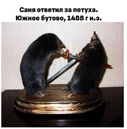 Саня ответил за петуха - Южное Бутово