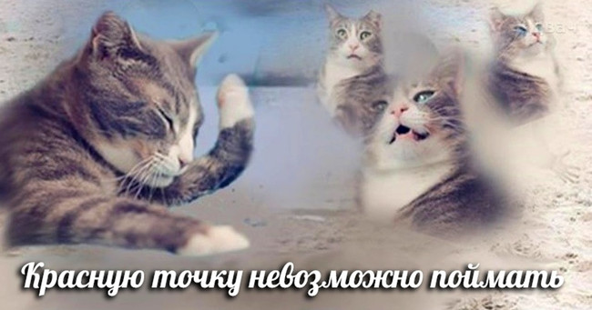 Красную точку невозможно поймать