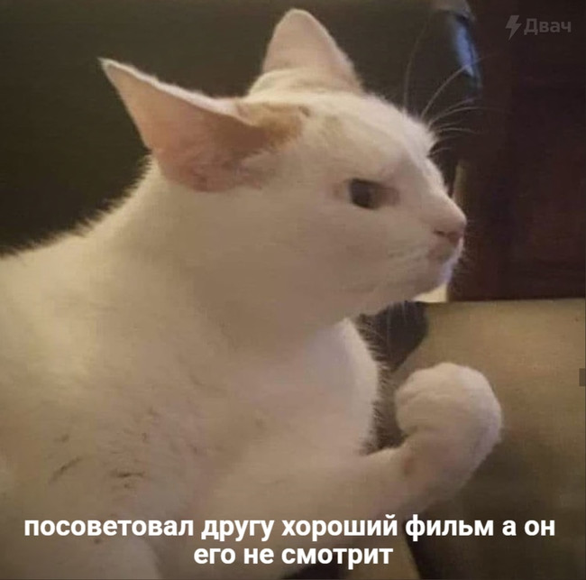 Посоветовал другу хороший фильм а он его не смотрит