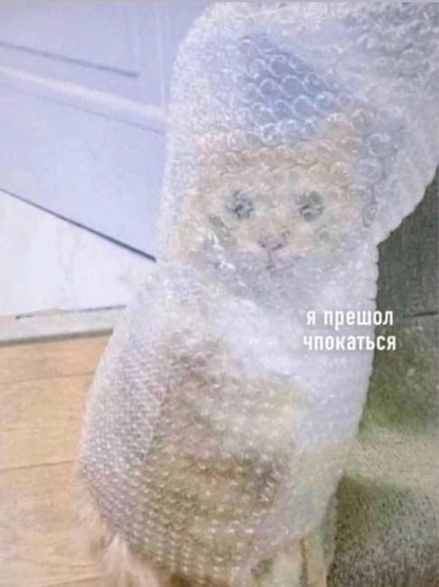 Я пришёл чпокаться