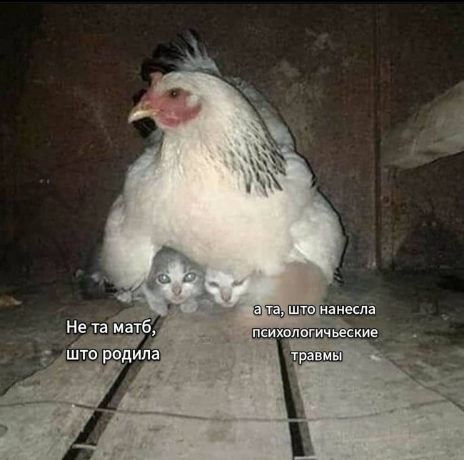 Не та мать что родила а та что нанесла психологические травмы