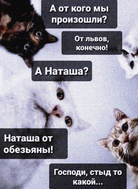 От кого мы произошли? - От львов, конечно!