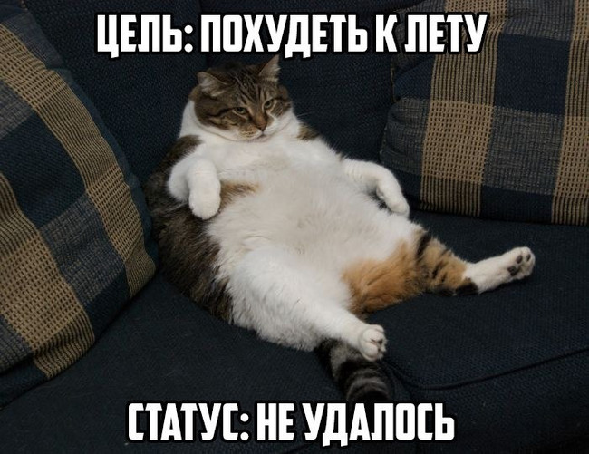 Цель: похудеть к лету - Статус: не удалось