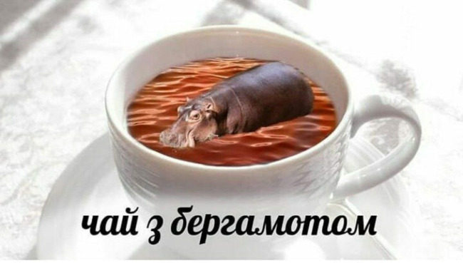 Чай с бергамотом