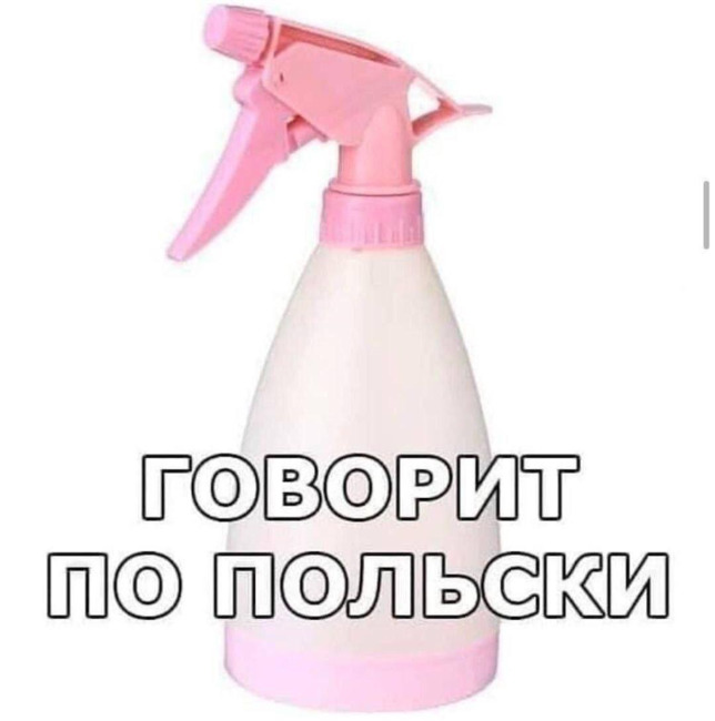 Говорит по-польски
