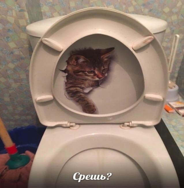 Срёш?